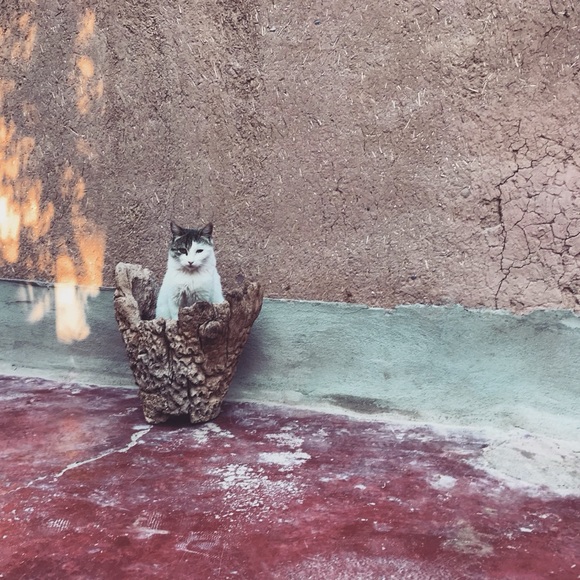 Meet your Posher - Picture 1 of 1